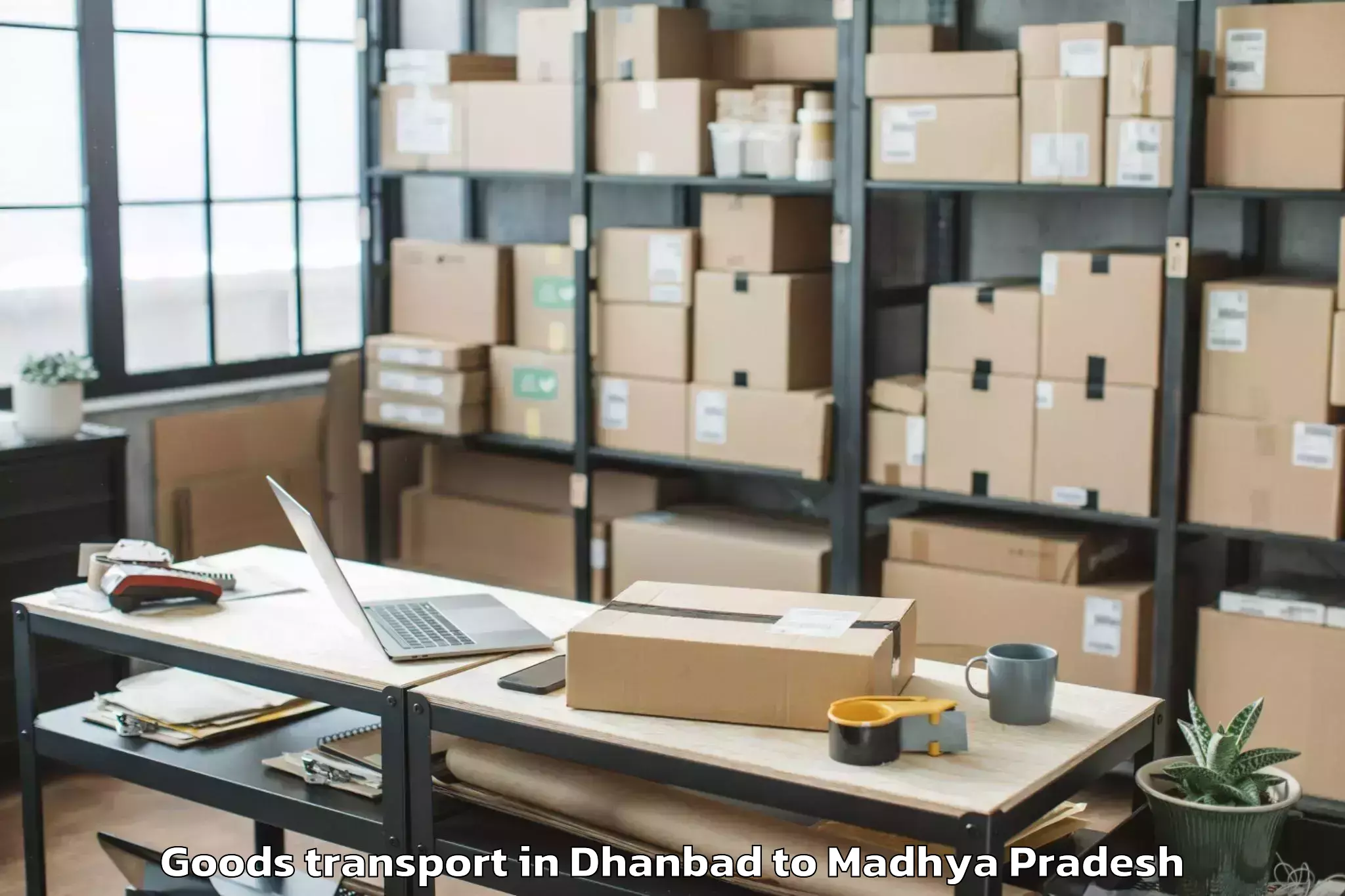 Expert Dhanbad to Khajuraho Group Of Monuments Goods Transport